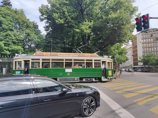A green tram passing a tree-lined street.